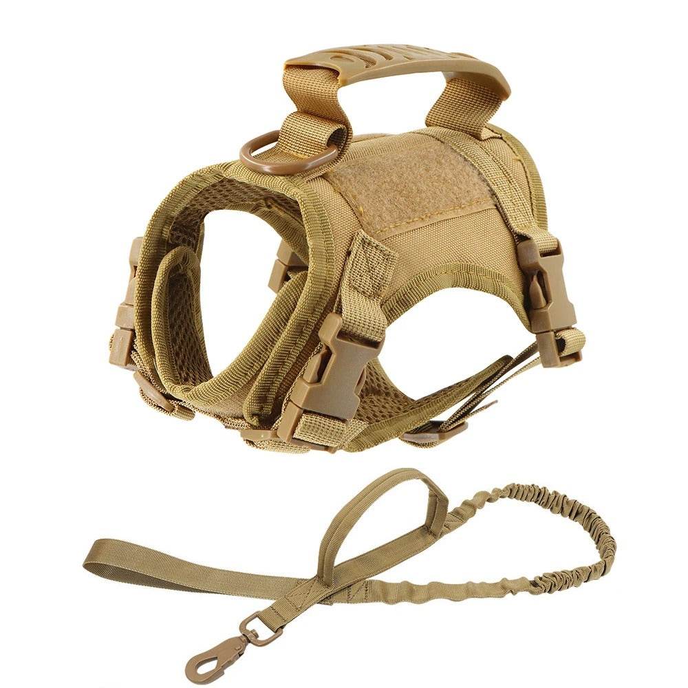 Tan adjustable kitten vest with sturdy harness and leash for outdoor adventures