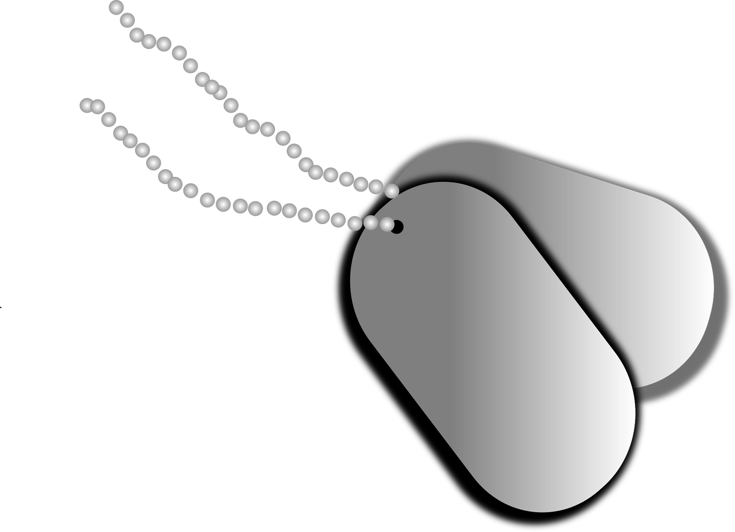 Stylish military dog tags on a chain, perfect for personalization and military tribute