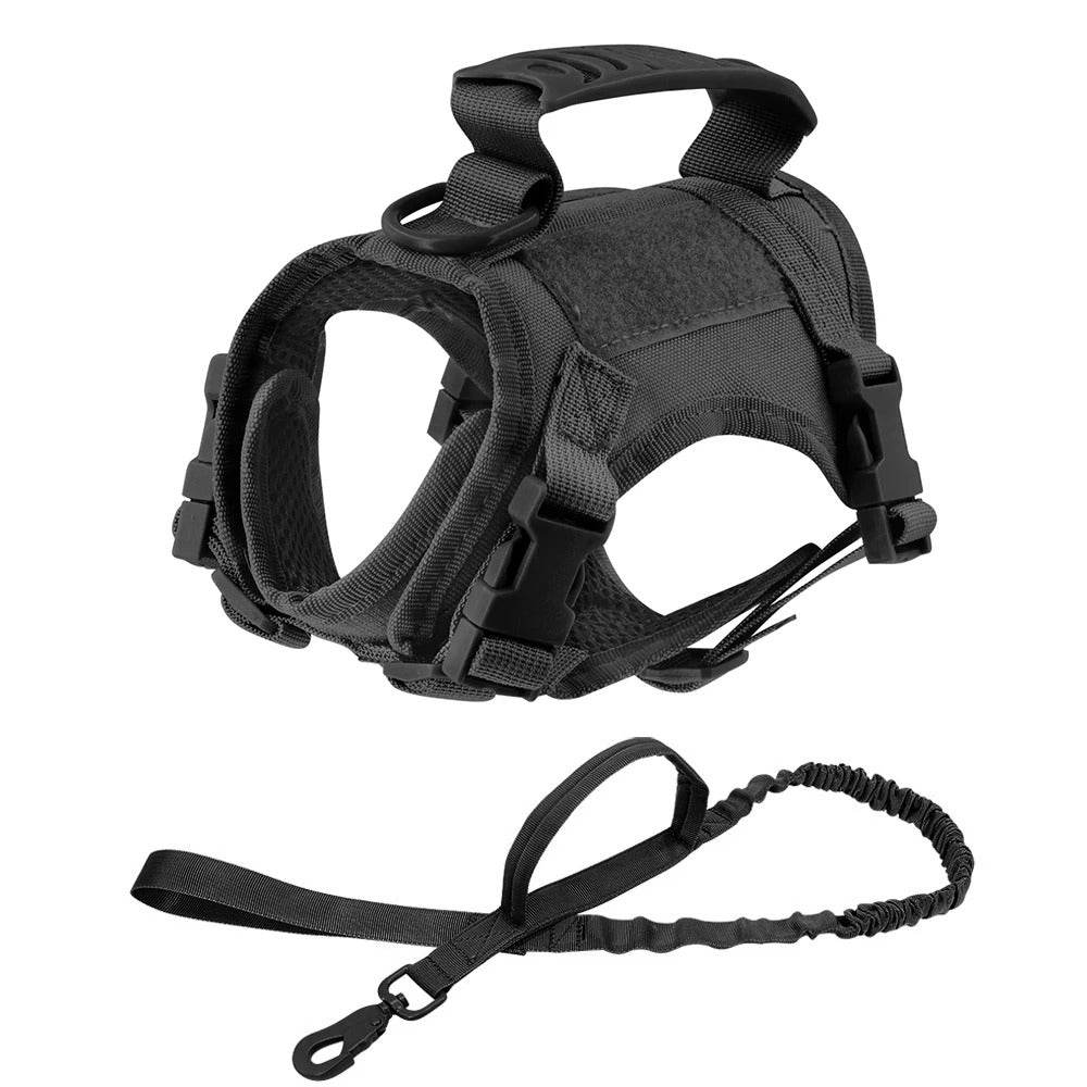 Adjustable kitten vest in black with durable leash for outdoor adventures