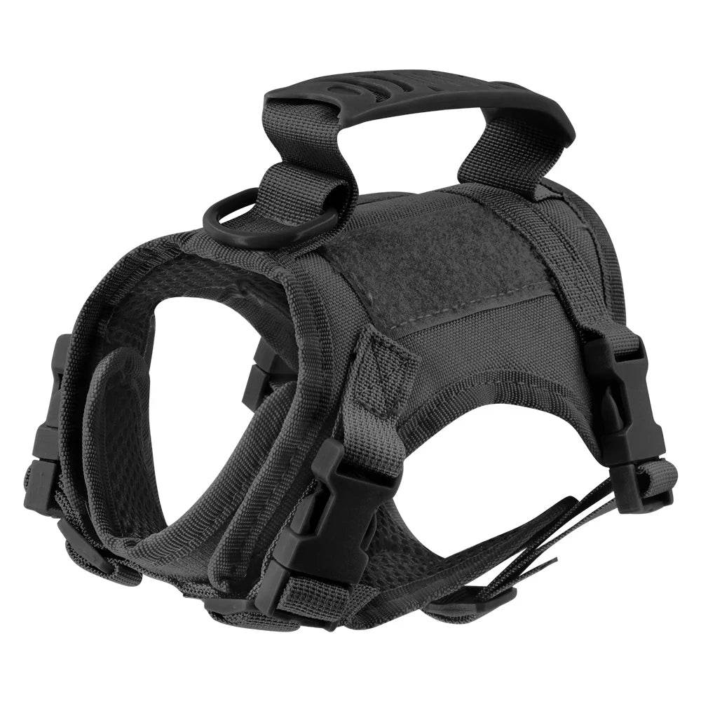 Adjustable kitten vest in black for secure pet harnessing