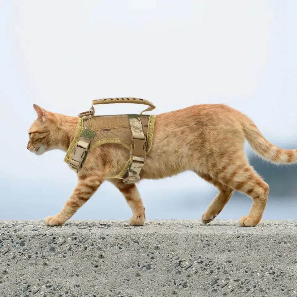 Adjustable kitten vest in tan for outdoor cat adventures
