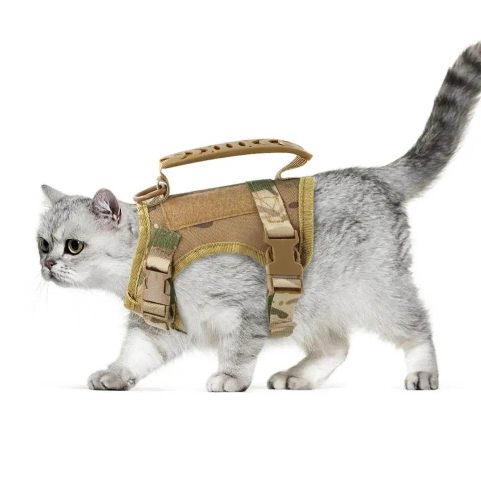 Adjustable kitten vest in tan for outdoor adventures