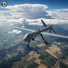 Military-Outdoors.com MQ-1B Predator Drone Model