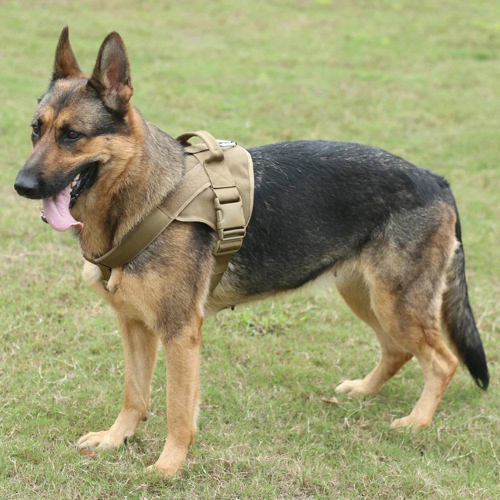 Military-Outdoors Tactical Dog Harness for Adventure - Military-Outdoors.com