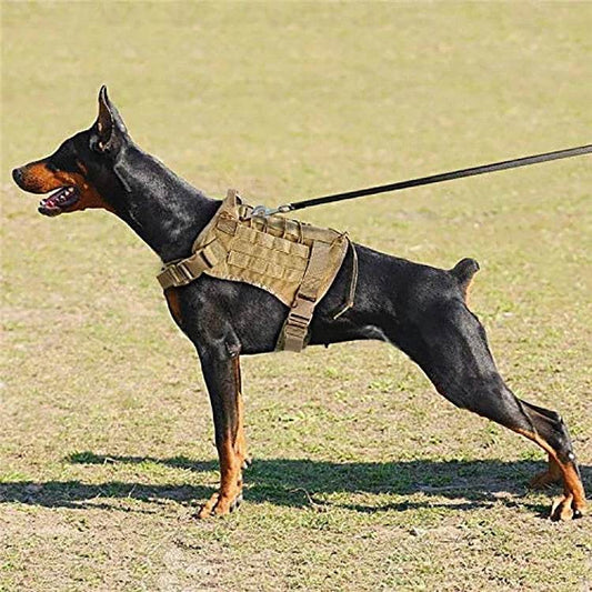 Outdoor dog training vest harness with adjustable straps, handle, and MOLLE-style layout