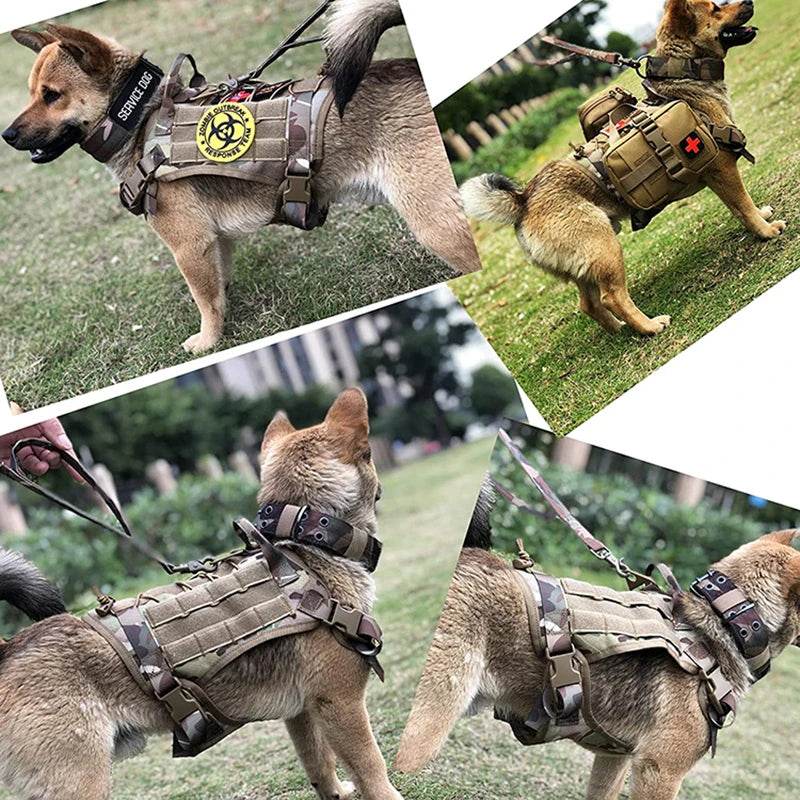 Military-Outdoor Dog Training Vest for Active Pets - Military-Outdoors.com