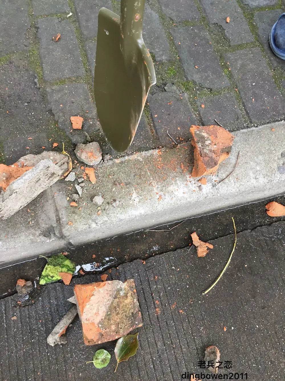 MILITARY COLLECTION - Surplus Vietnam Era Chinese Military Shovel - Military-Outdoors.com